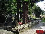 Grodzisk Mazowiecki, ul. Rado�ska, mogi�a zbiorowa. Stan z dn. 17. 08. 2011 r. (fot. Tomasz Karolak).