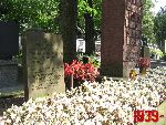 Grodzisk Mazowiecki, ul. Rado�ska, mogi�a zbiorowa. Stan z dn. 17. 08. 2011 r. (fot. Tomasz Karolak).