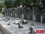 Lipce Reymontowskie, mogi�a zbiorowa. Stan z dn. 25. 06. 2011 r. (fot. Tomasz Karolak).