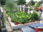Niebor�w, mogi�a zbiorowa. Stan z dn. 25. 06. 2011 r. (fot. Tomasz Karolak).