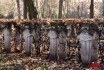 Warszawa, u. Pow�zkowska, Cmentarz Wojskowy (fot. �. Wojtczak)