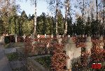 Warszawa, u. Pow�zkowska, Cmentarz Wojskowy (fot. �. Wojtczak)
