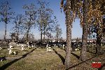 Kocierzew Po�udniowy, kwatera wojenna. Stan z dn. 31 pa�dziernika 2010 r. (fot. �ukasz Wojtczak).