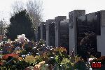 Niebor�w, mogi�a zbiorowa. Stan z dn. 31. 10. 2010 r. (fot. �ukasz Wojtczak).