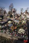 �owicz, ul. Mickiewicza, mogi�y zbiorowe (fot. �. Wojtczak)