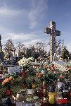 �owicz, ul. Mickiewicza, mogi�y zbiorowe (fot. �. Wojtczak)