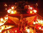 Julipol, kwatera wojenna (fot. T. Krzemi�ski).