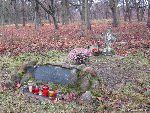 Nowy Dw�r Mazowiecki, ul. Obwodowa, mogi�a zbiorowa. Stan z dn. 4 grudnia 2011 r. (fot. Tomasz Kuran).