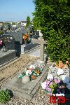 Koz��w Biskupi, mogi�a zbiorowa. Stan z dn. 28. 05. 2010 r. (fot. Tomasz Karolak).