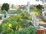 Plecka D�browa, mogi�y zbiorowe. Stan z dn. 26. 08. 2011 r. (fot. Tomasz Karolak).