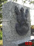 Plecka D�browa, mogi�y zbiorowe. Stan z dn. 26. 08. 2011 r. (fot. Tomasz Karolak).