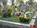 Plecka D�browa, mogi�y zbiorowe. Stan z dn. 26. 08. 2011 r. (fot. Tomasz Karolak).