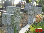 Plecka D�browa, mogi�y zbiorowe. Stan z dn. 26. 08. 2011 r. (fot. Tomasz Karolak).