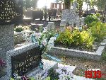 Plecka D�browa, mogi�y zbiorowe. Stan z dn. 26. 08. 2011 r. (fot. Tomasz Karolak).