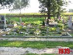 Plecka D�browa, mogi�y zbiorowe. Stan z dn. 26. 08. 2011 r. (fot. Tomasz Karolak).