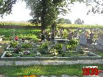 Plecka D�browa, mogi�y zbiorowe. Stan z dn. 26. 08. 2011 r. (fot. Tomasz Karolak).