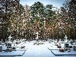 Rydwan (Gu�nia), cmentarz wojenny. Stan z dn. 7 grudnia 2023 r. (fot. Bart�omiej Tarnowski).