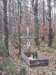 Rybitew, mogi�y wojenne. Stan z dn. 22 listopada 2011 r. (fot. Tomasz Kuran).