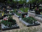 Grzmi�ca, mogi�y indywidualne. Stan z dn. 05. 06. 2014 r. (fot. B�a�ej Kucharski).