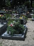 Grzmi�ca, mogi�y indywidualne. Stan z dn. 05. 06. 2014 r. (fot. B�a�ej Kucharski).