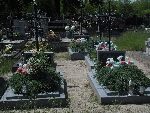 Grzmi�ca, mogi�y indywidualne. Stan z dn. 05. 06. 2014 r. (fot. B�a�ej Kucharski).