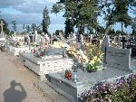 Strzegocin, mogi�a zbiorowa. Stan z dn. 16. 09. 2011 r. (fot. Witold Rapsiewicz).