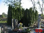 S�ubice, mogi�a zbiorowa. Stan z dn. 16. 10. 2011 r. (fot. Tomasz Karolak).
