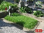 Sochaczew, ul. Traugutta, mogi�a indywidualna (2). Stan z dn. 12. 07. 2011 r. (fot. Tomasz Karolak).