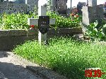 Sochaczew, ul. Traugutta, mogi�a indywidualna (2). Stan z dn. 12. 07. 2011 r. (fot. Tomasz Karolak).