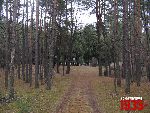 Wiktor�w, cmentarz wojenny. Stan z dn. 04. 12. 2011 r. (fot. Tomasz Karolak).