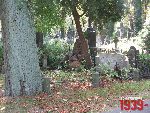 Warszawa, ul. M�ynarska, gr�b rodzinny (2) - Warszawa, ul. M�ynarska, gr�b rodzinny (2). Stan z dn. 13 wrze�nia 2016 r. (fot. Tomasz Karolak).