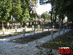 Zabor�w, kwatera wojenna. Stan z dn. 31. 08. 2011 r. (fot. Tomasz Karolak).