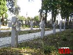 Zabor�w, kwatera wojenna. Stan z dn. 31. 08. 2011 r. (fot. Tomasz Karolak).