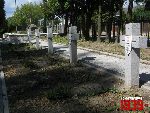 Zabor�w, kwatera wojenna. Stan z dn. 31. 08. 2011 r. (fot. Tomasz Karolak).