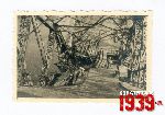 Zniszczenia wojenne 1939 - most na Bzurze w Sochaczewie (fot. ze zbior�w Andrzeja Kornackiego).