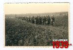 Je�cy polscy 1939 - pod Sochaczewem (fot. ze zbior�w Andrzeja Kornackiego).
