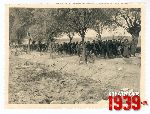 Je�cy polscy 1939 - rejon m. Ruszki, gm. M�odzieszyn, pow. sochaczewski (fot. ze zbior�w Andrzeja Kornackiego).