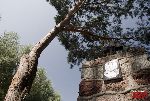 D�bsk Nowy, miejsce pami�ci (fot. �. Wojtczak).