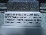 Nowy Dunin�w, Gr�b-Obelisk ku Czci Walcz�cych o Woln� Polsk�. Stan z dn. 05. 08. 2008 r. (fot. Zbigniew Adamas).