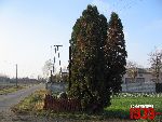 O�tarzew, ul. Nizinna, krzy� i g�az pami�tkowy. Stan z dn. 12. 11. 2011 r. (fot. Tomasz Karolak).