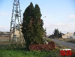 O�tarzew, ul. Nizinna, krzy� i g�az pami�tkowy. Stan z dn. 12. 11. 2011 r. (fot. Tomasz Karolak).