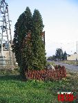 O�tarzew, ul. Nizinna, krzy� i g�az pami�tkowy. Stan z dn. 12. 11. 2011 r. (fot. Tomasz Karolak).