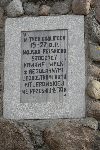Borzymie, pomnik. Stan z dn. 21. 03. 2012 r. (fot. Jacek Kopi�ski).